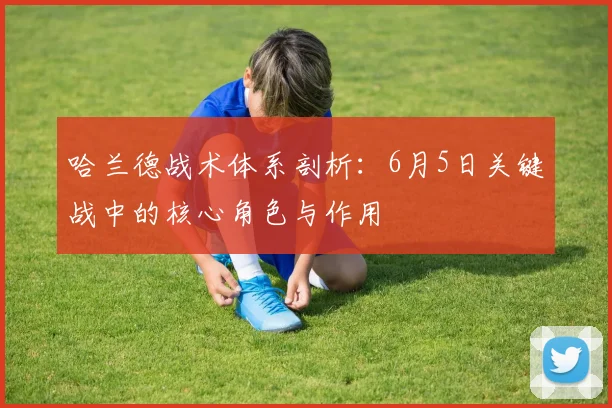 哈兰德战术体系剖析：6月5日关键战中的核心角色与作用