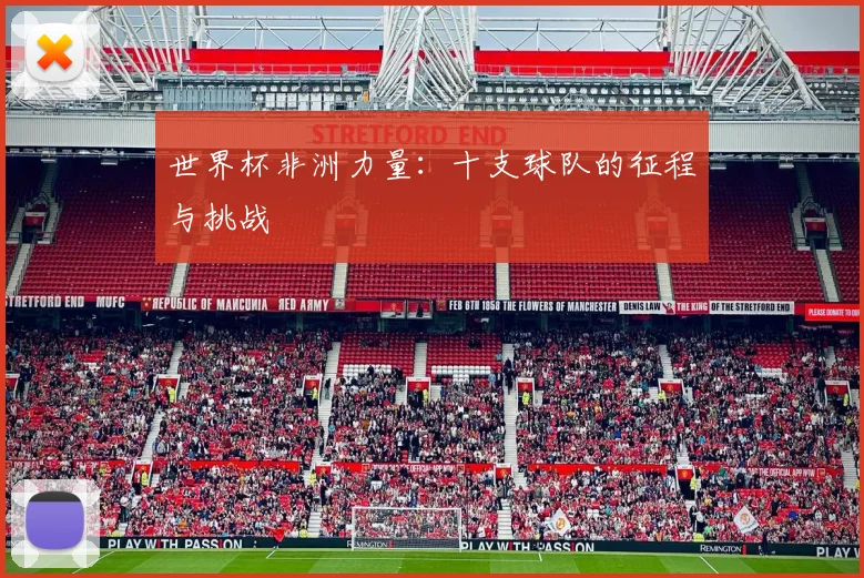 世界杯非洲力量：十支球队的征程与挑战